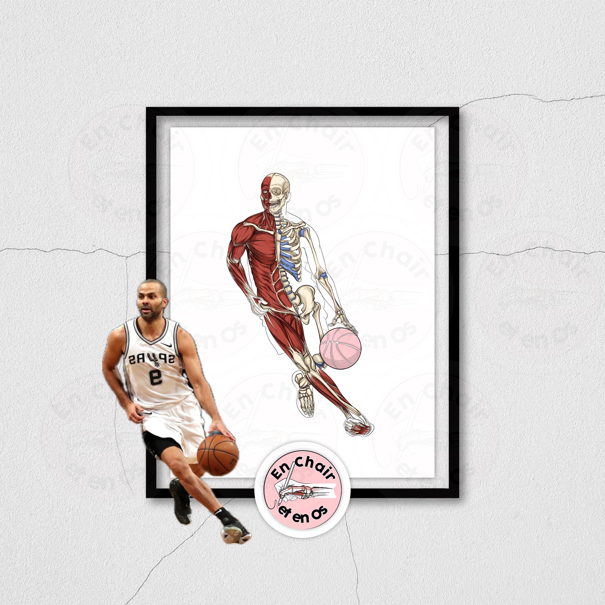 Planche anatomique Basketball Tony Parker