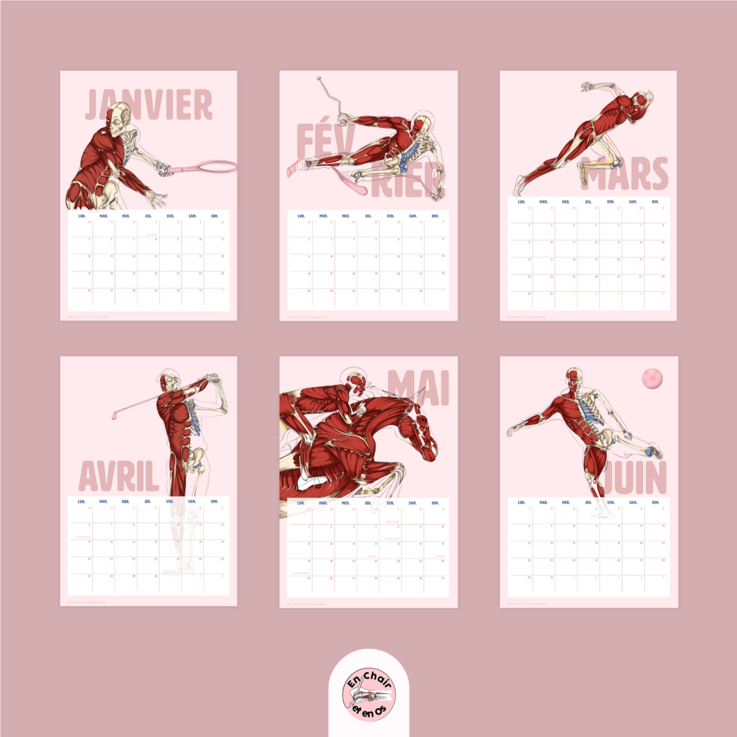 Calendrier Anatomie du sport en chair et en os 2026