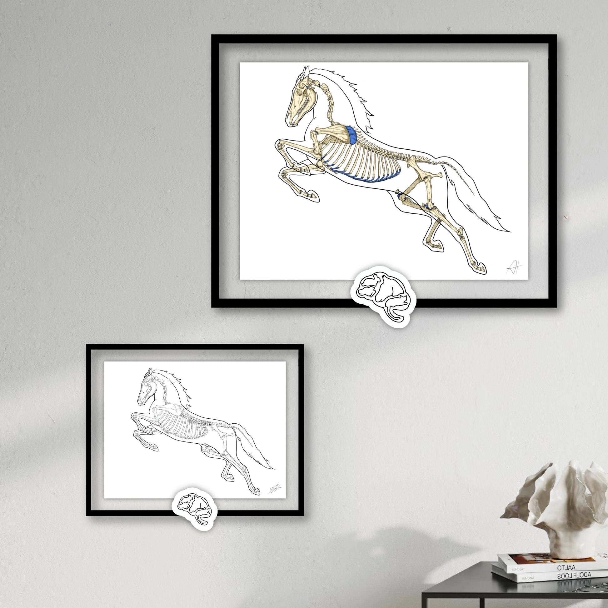 Planches anatomiques du cheval En Chair et en Os décoration pour cabinet médical 