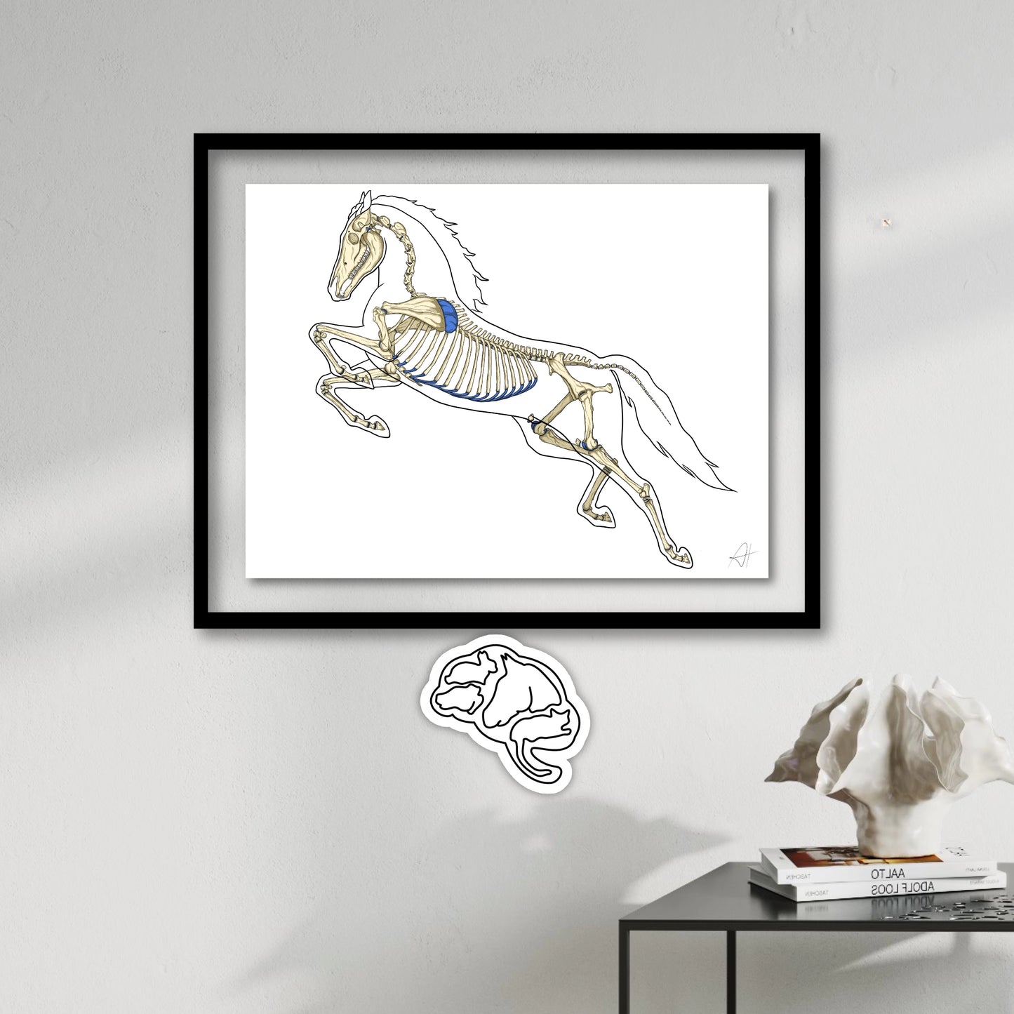 Planches anatomiques du cheval En Chair et en Os décoration pour cabinet médical 