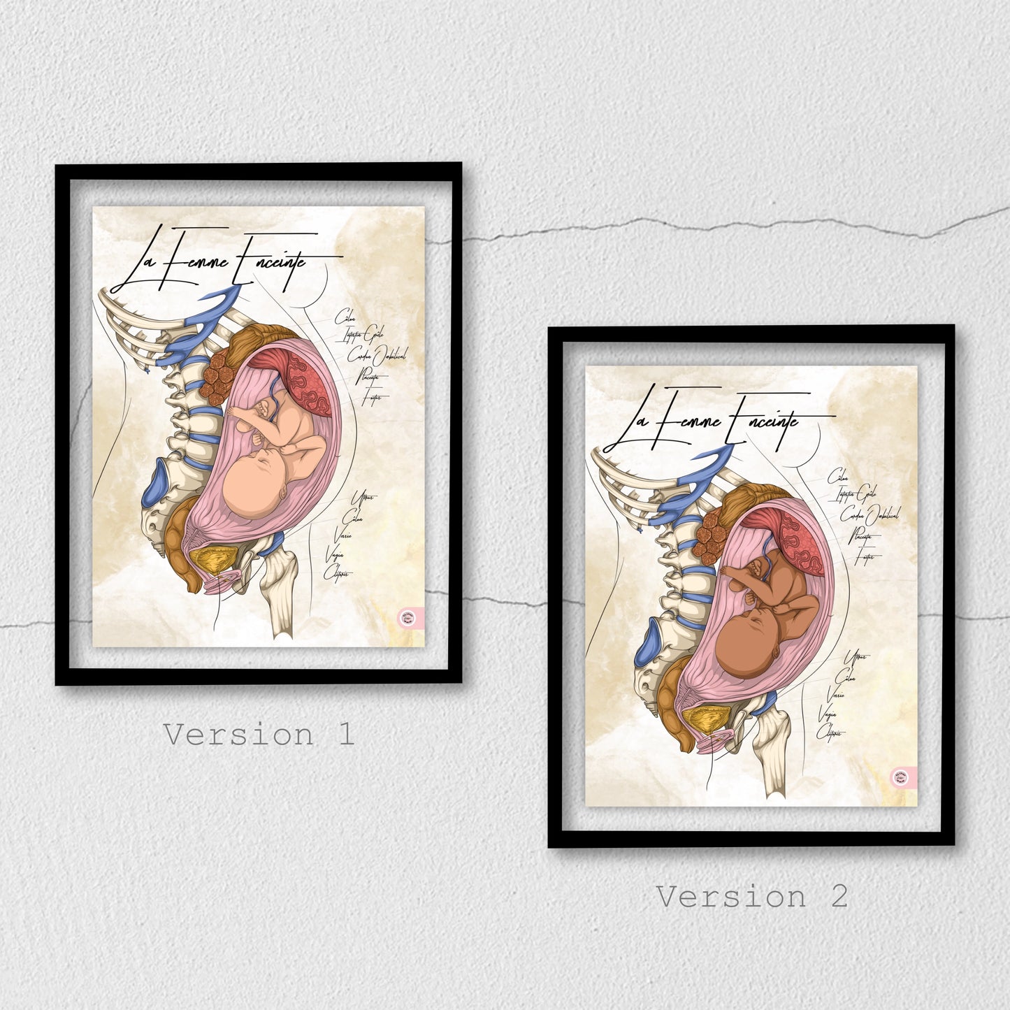Planche anatomique de la femme enceinte En Chair et en Os décoration pour cabinet médical