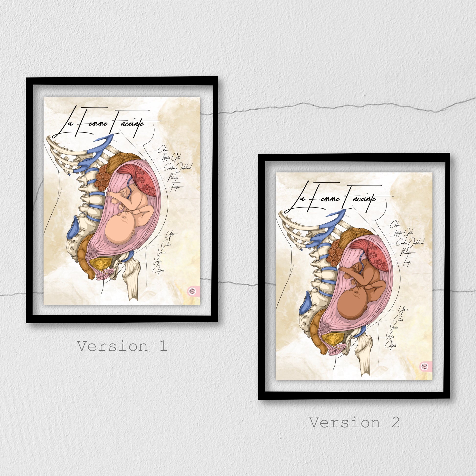 Planche anatomique de la femme enceinte En Chair et en Os décoration pour cabinet médical