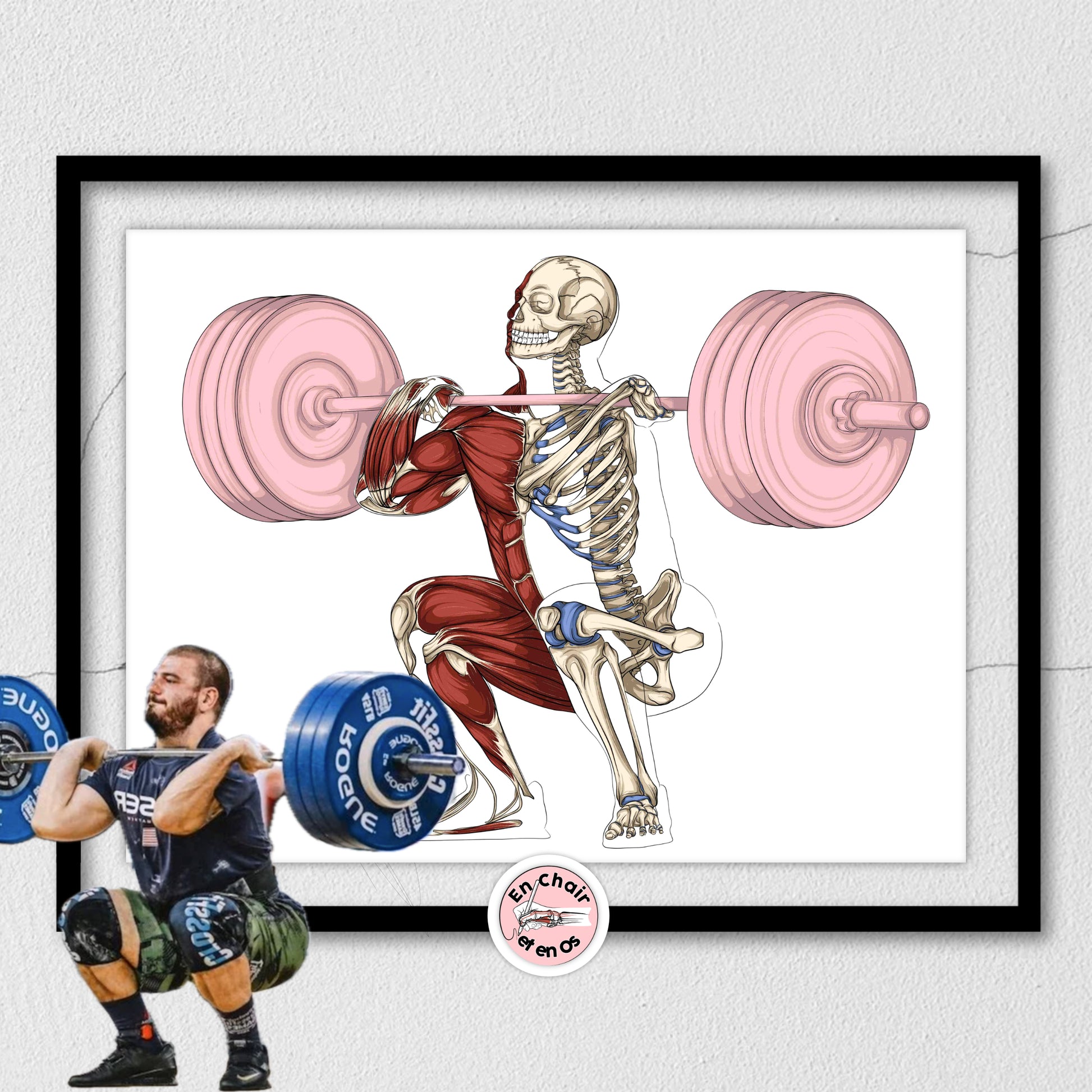 Planche anatomique du Power lifting En Chair et en Os décoration pour cabinet médical