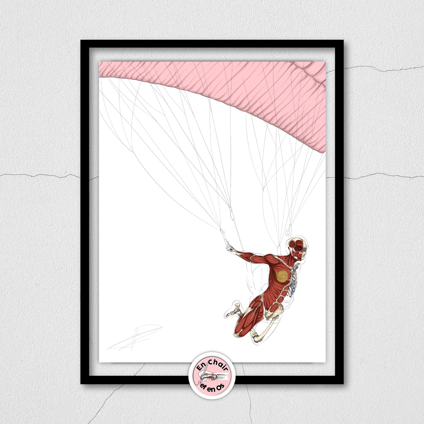 Planches anatomiques du saut en parachute En Chair et en Os décoration pour cabinet médical