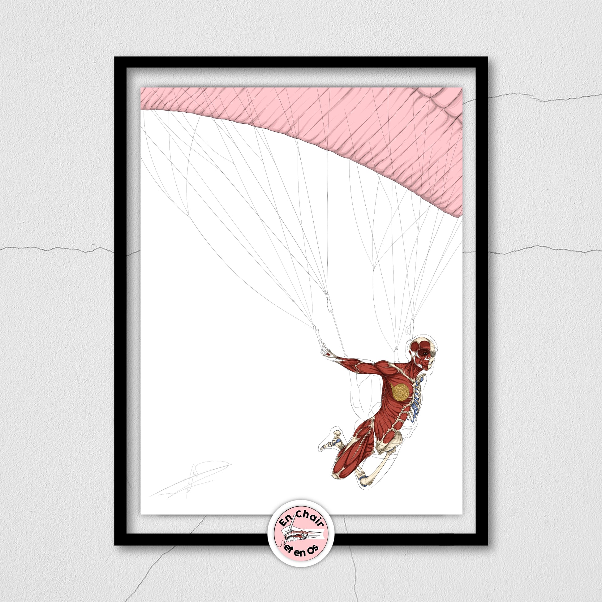Planches anatomiques du saut en parachute En Chair et en Os décoration pour cabinet médical
