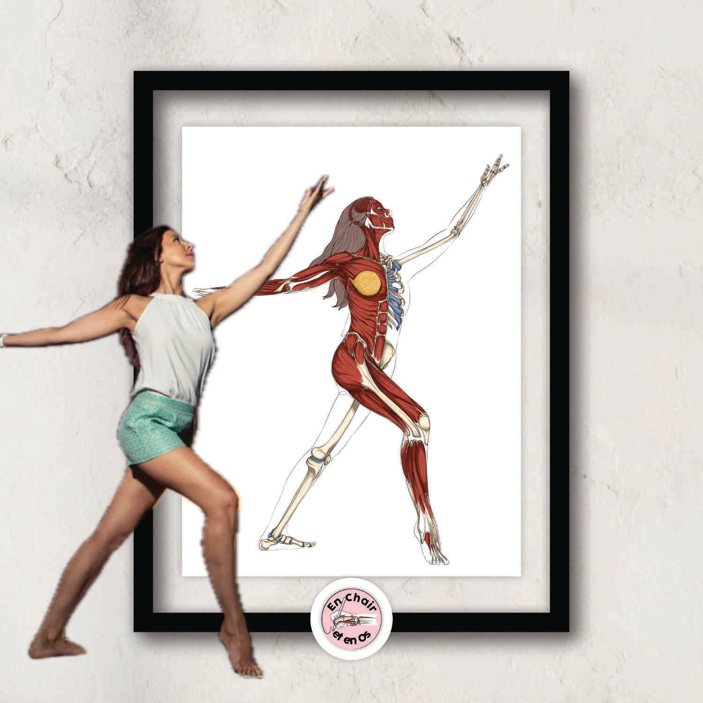 Planche anatomique de la danse  En Chair et en Os décoration pour cabinet médical