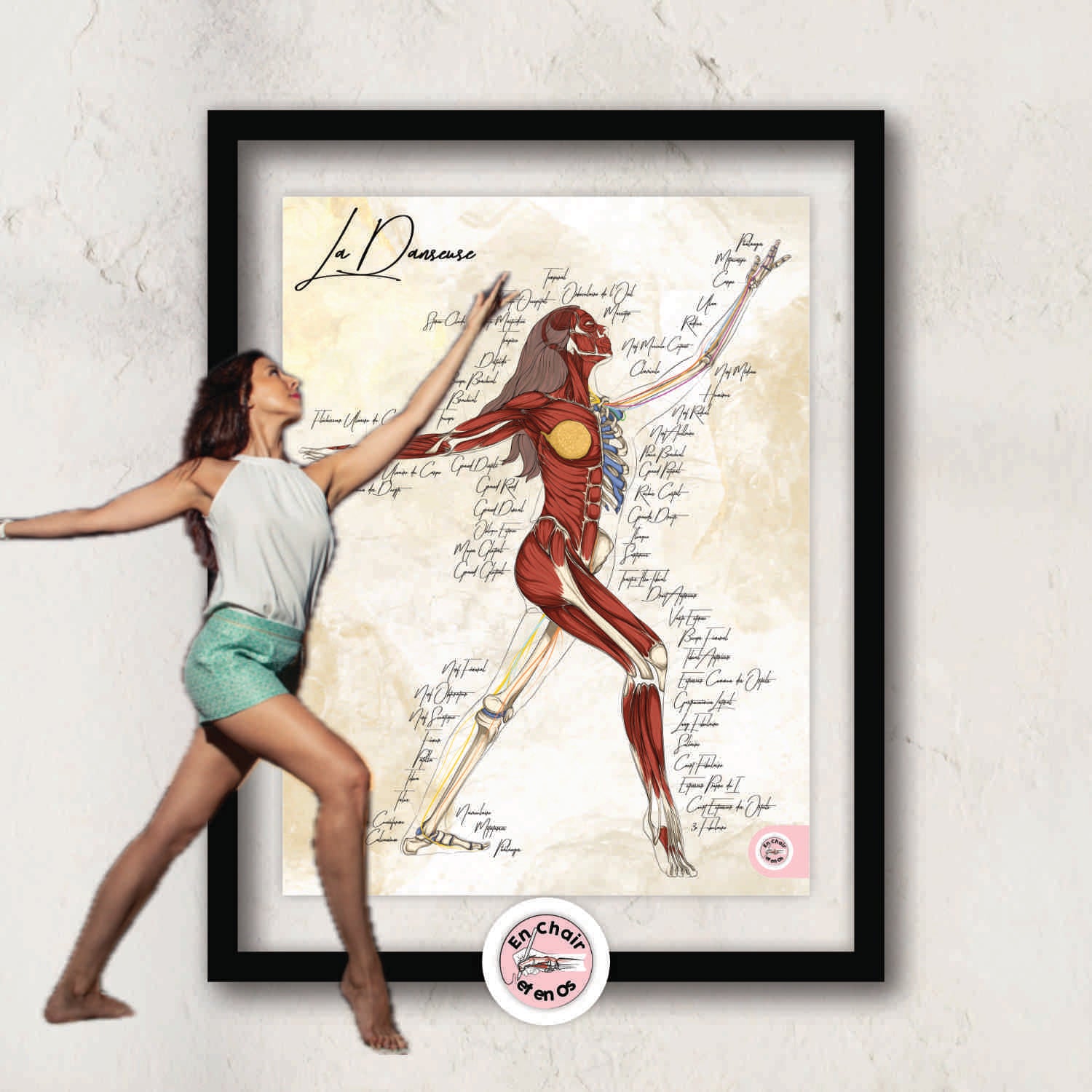Planche anatomique de la danse  En Chair et en Os décoration pour cabinet médical