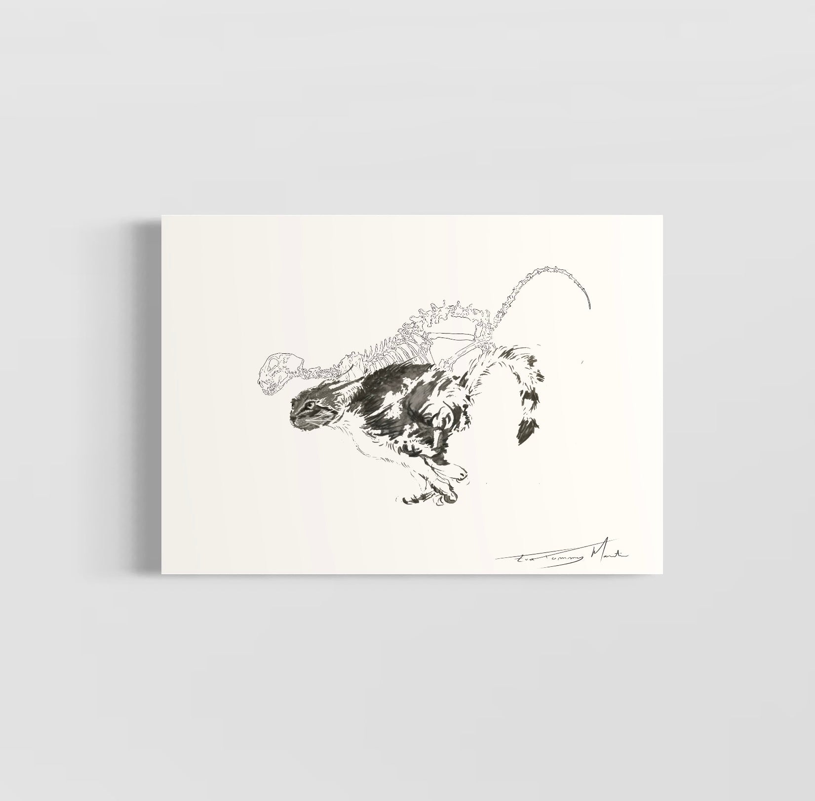 planche anatomique chat En Chair et en Os décoration murale